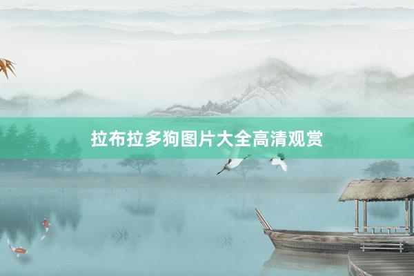 拉布拉多狗图片大全高清观赏